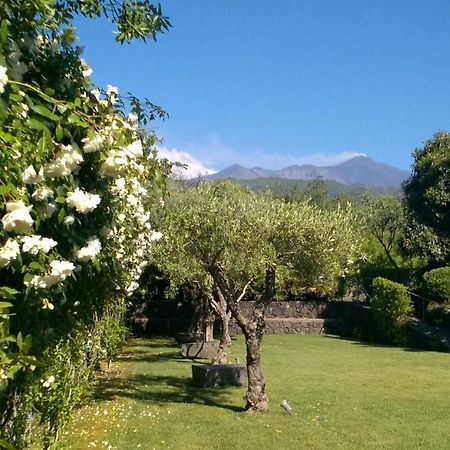 Casa Vacanze Prato Verde Zafferana Etnea Exteriör bild